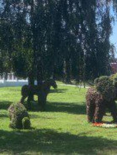 Фестиваль цветов 2_1