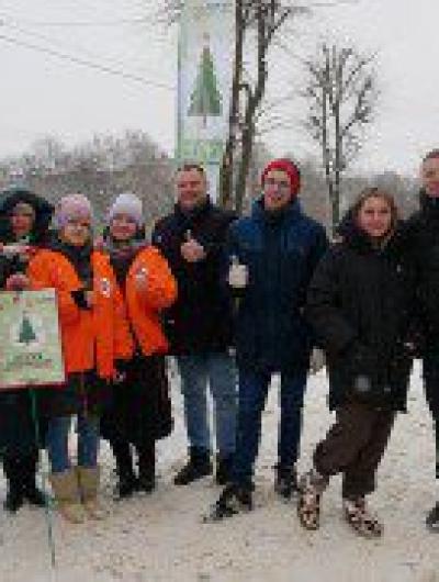 Елка не мусор - 2