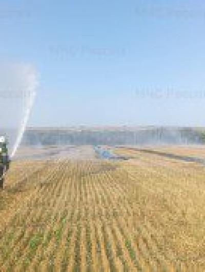 пожары травы