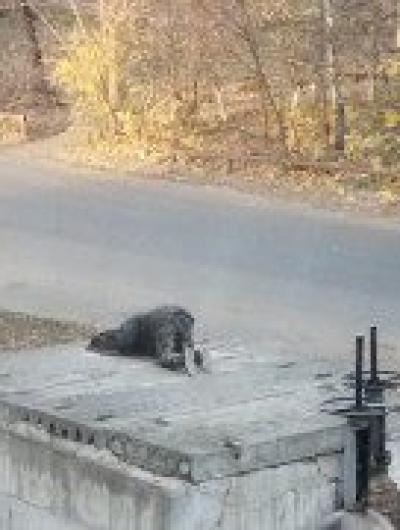 6d1ade4c-b358-4bd4-8895-3e38c12b96d2