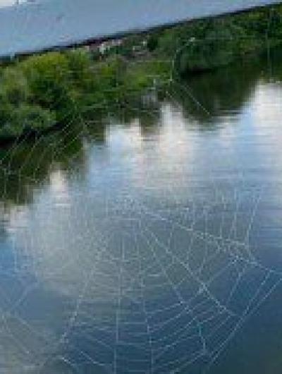 Орловские коммунальщики «перестарались» при подготовке Герценского моста ко Дню города 1