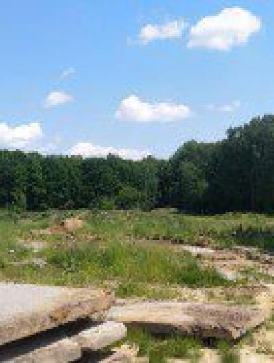 Медведевский лес 02