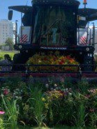 Фестиваль цветов 5_1