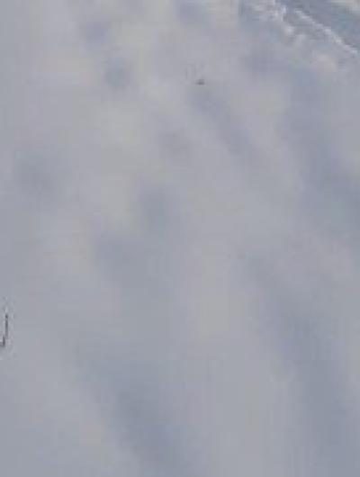 снег4