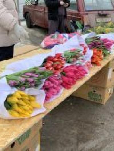 photo_2026-03-05_09-51-34