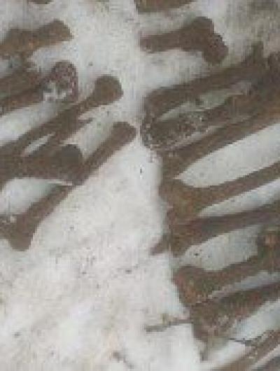 photo_2021-12-17 09.43.39