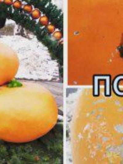 photo_2022-01-05 09.12.46