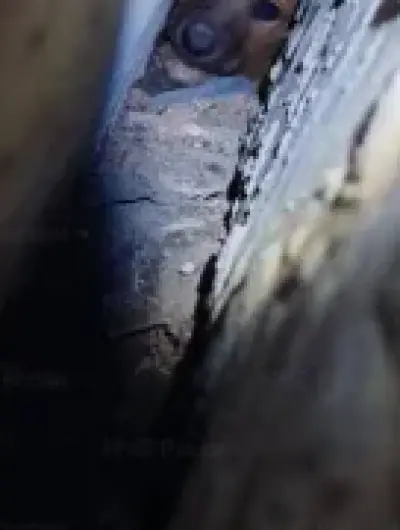 МЧС (1)