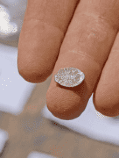 экспозиция