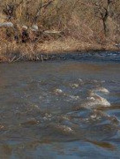 IMG_20210329_105551