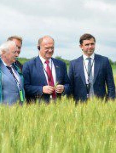 Зюганов и поля