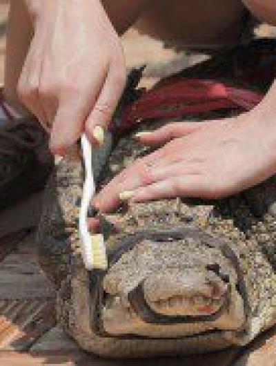 Любовь на выживание_пара из Орла_7