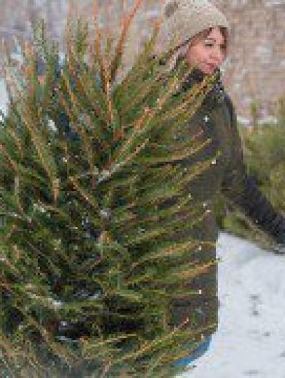 Елка не мусор -1