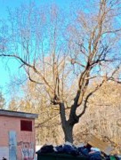 территория