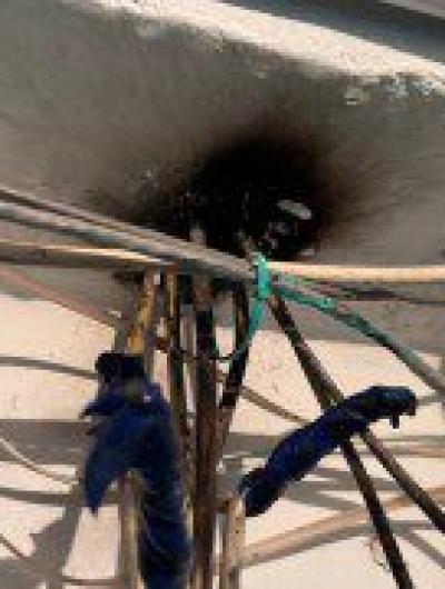 photo_2024-10-10_10-07-28