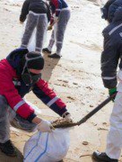 волонтёры (3)