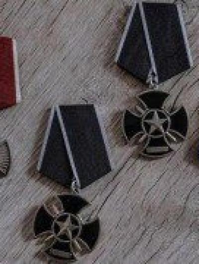 Награды Голубова