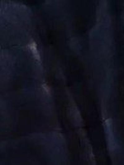 синяя норка.f-2CEHpXctTEuV1GylM9UwdrdU6iLyulc2YuhD7Djmc