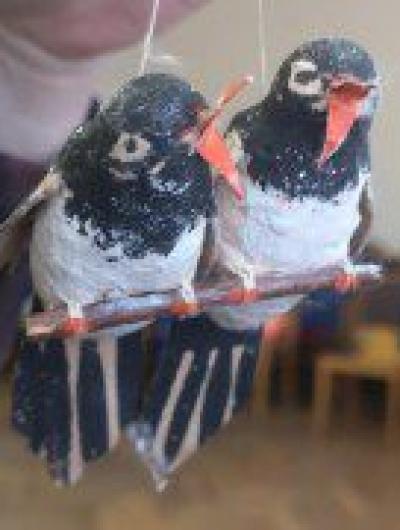 IMG_20201216_122133