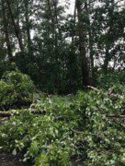 photo_2022-07-11_18-23-43