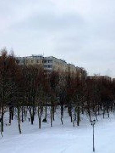 поликлиника 12