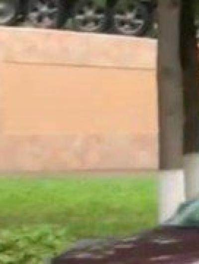 поросенок_Мценск_01