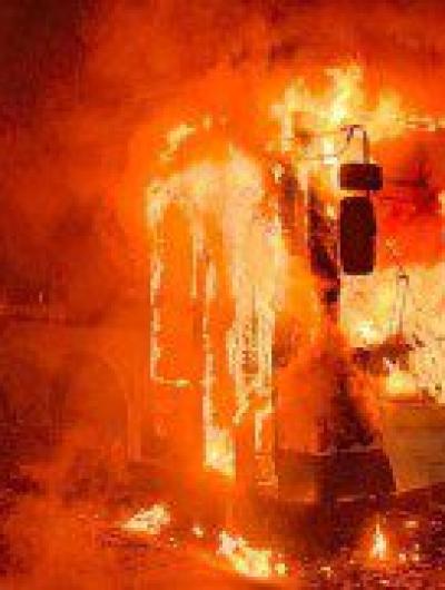 IMG_20241229_082730_896