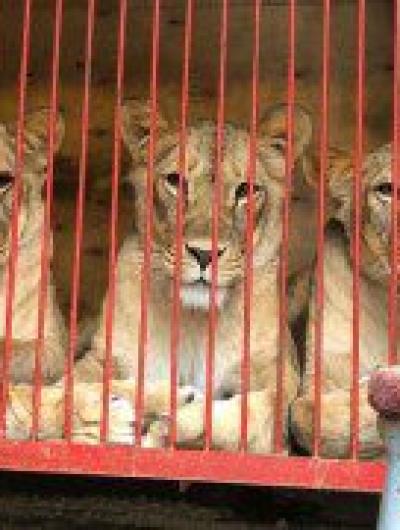 IMG_20200412_095911_512