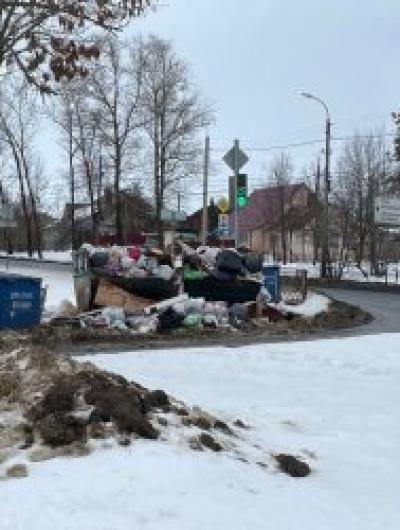 Мусорный коллапс в Заводском и Железнодорожном районах в «Зелёной Роще» объяснили неубранным снегом