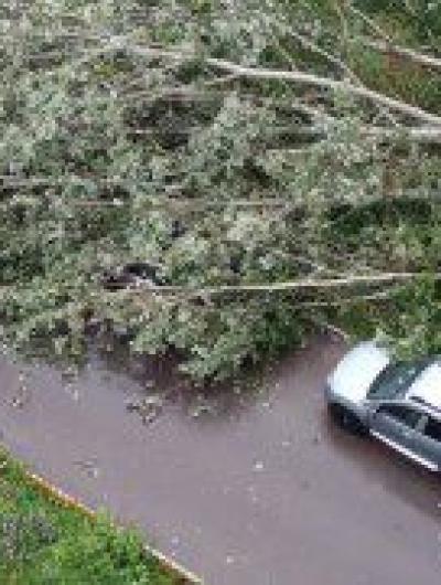 AFE2FA7D-FDFC-405C-B36B-A29D29EE9409