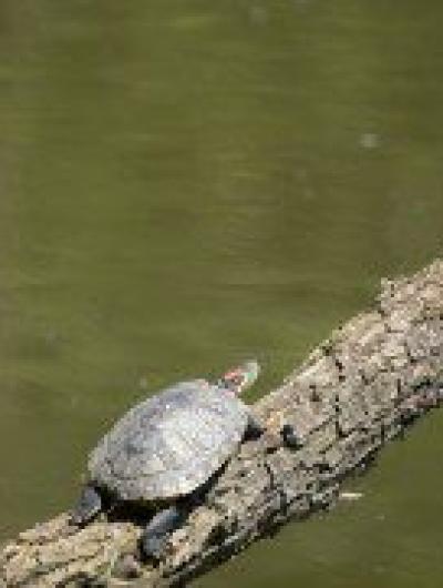 2021-06-30 _DSC1436к