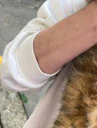 спасённая кошка