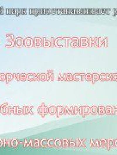 zoiAmcVv0ZI