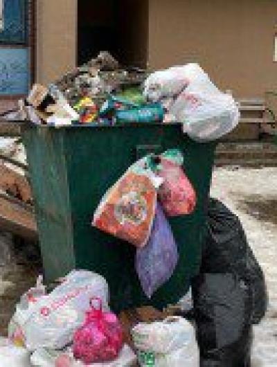 Мусорный коллапс в Заводском и Железнодорожном районах в «Зелёной Роще» объяснили неубранным снегом 3