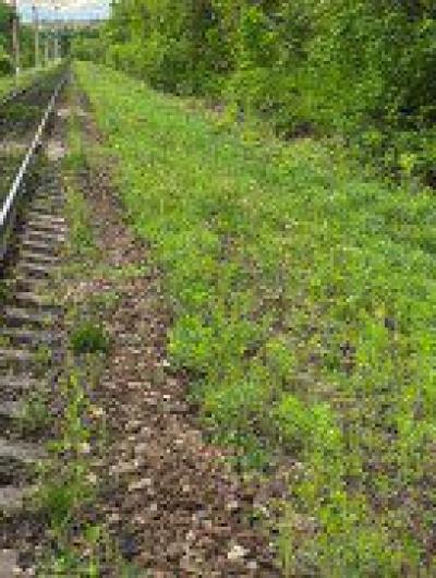 497733CE-ACDF-4066-BBC4-78AEF689A941