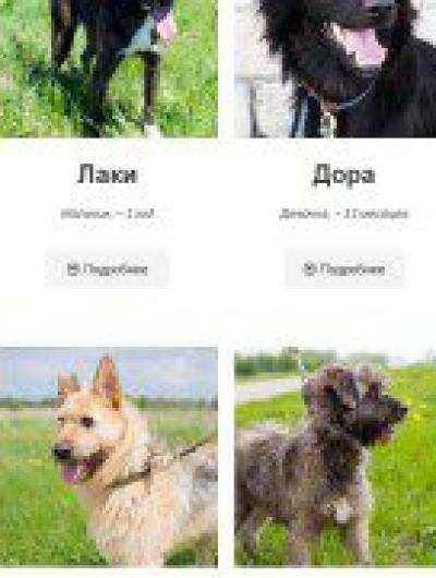 Без имени