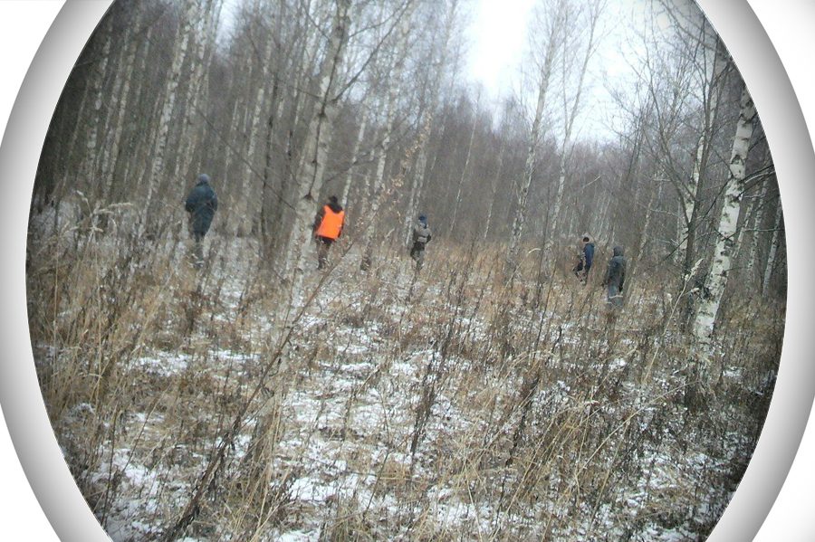 Медведевский лес Орел