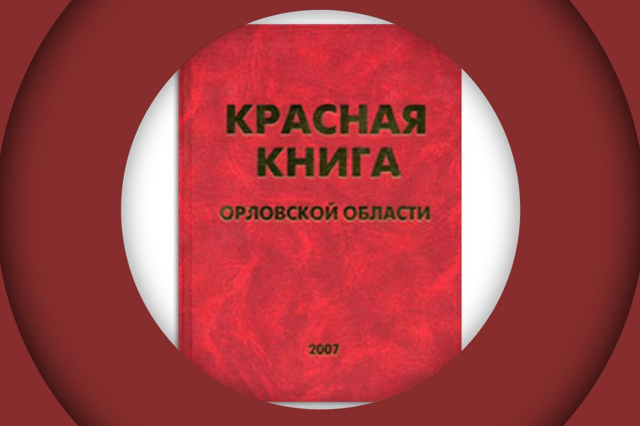 Орловская область книги. Красная книга Орловской области. Красная книга Орловской области книга. Книги про Орловскую область. Животные красной книги Орловской области.