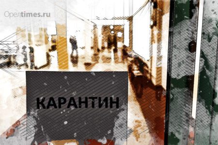 В Орловской области 226 классов закрыты на карантин
