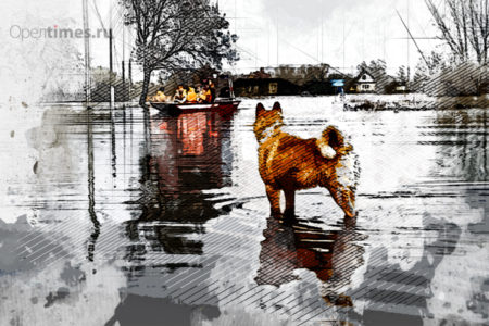 В Орле подтопленными остаются 17 частных домов и один многоквартирный