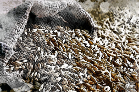 Орловская область экспортировала сельхозпродукции на 108 млн долларов