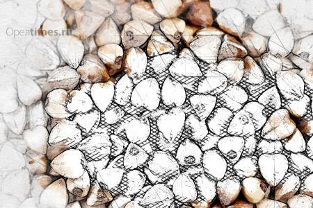 Орловская область продаёт гречку США