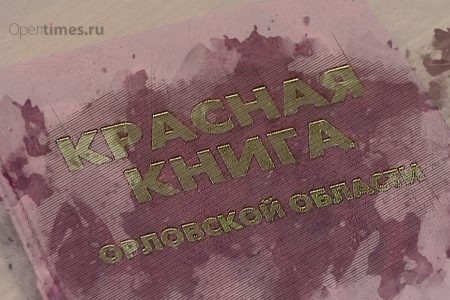 Красную книгу Орловской области выпустят тиражом в 1 тыс. экземпляров