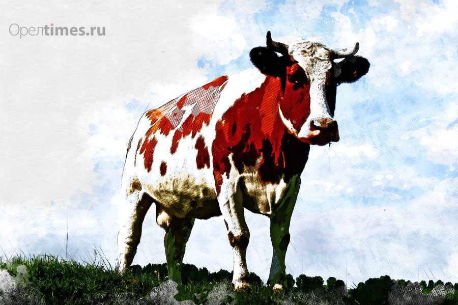 https://oreltimes.ru/wp-content/uploads/2019/04/krs_korova_cow.jpg