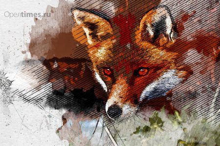 В Орловской области заметили странную гибель диких животных и птиц