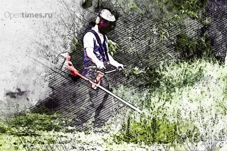 К Новому году Орловская область закупит оборудование для покоса травы