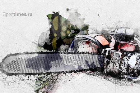 В Орловском МО спилят и кронируют деревья на 600 тысяч рублей