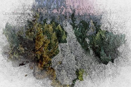 В Рослесхозе дали резкие оценки работе Орловского управления лесами