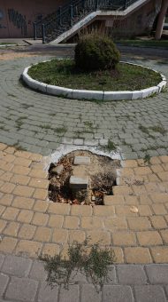 DSC05960