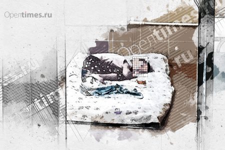 Мать орловской «девочки-маугли» ограничили в правах
